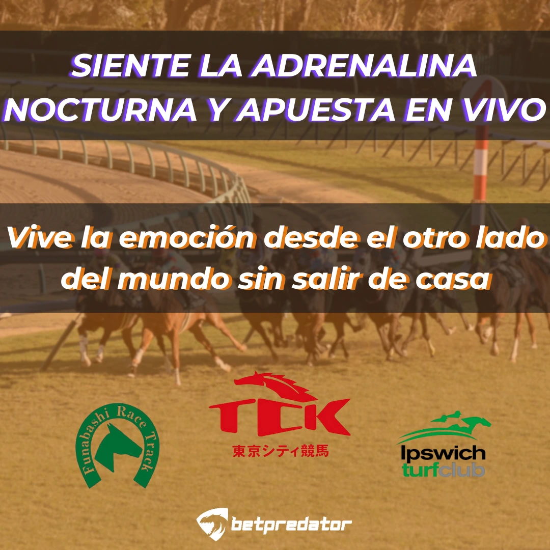 BannerHorses1 (1080 x 1080 px) (1)