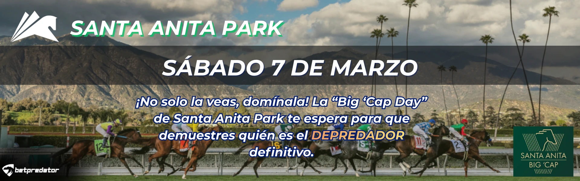 Gulfstream Park (1920 x 602 px) (1)